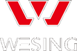 wesingstore.com